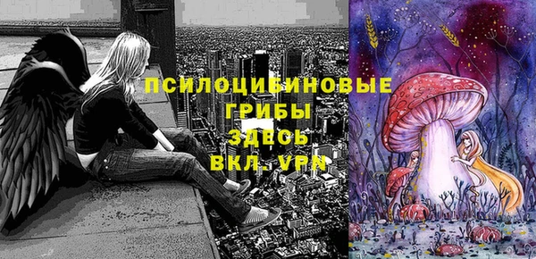 бутират Арсеньев