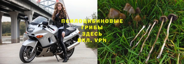 бутират Арсеньев