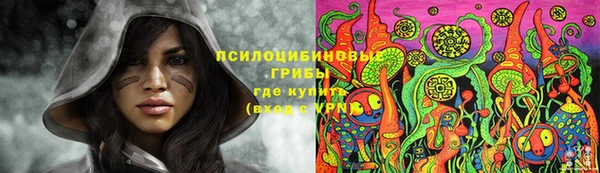 бутират Арсеньев